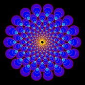 Fractal Flower in
